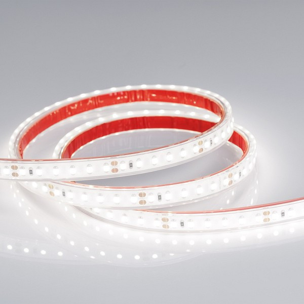 Лента светодиодная Arlight  015442(1)