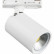 Светильник на штанге Lightstar Rullo 212936