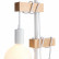 Торшер EVOLUCE Bagetti SL1142.505.01
