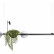Подвесной светильник Loft it Jardin 10121/C