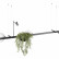 Подвесной светильник Loft it Jardin 10121/C