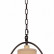 Подвесной светильник Loft it Birds LOFT1029A-1
