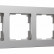 Рамка на 4 поста Werkel Platinum (алюминий) W0042606