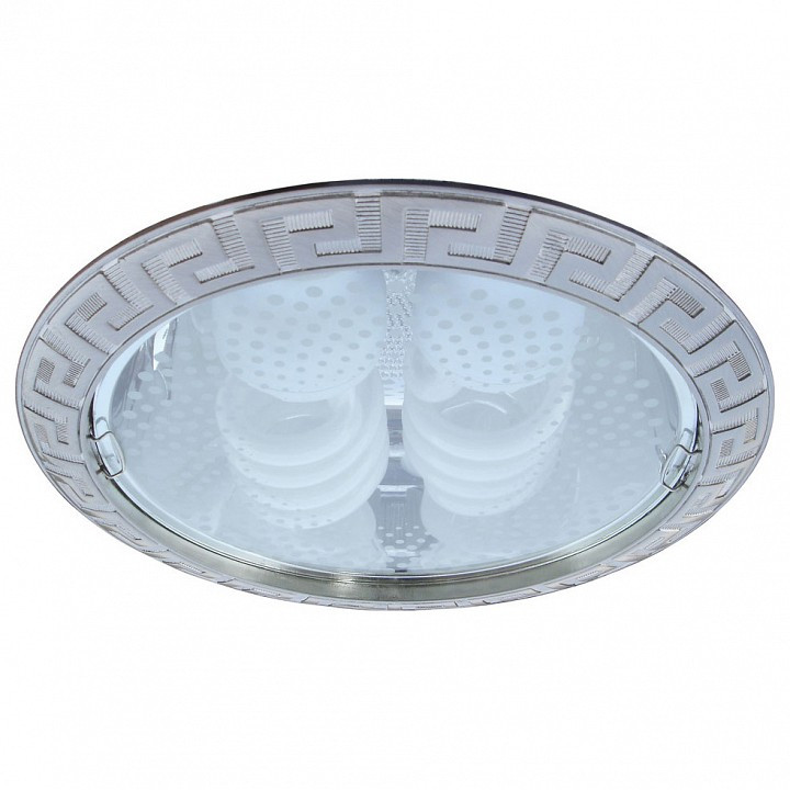 Встраиваемый светильник Arte Lamp Technika A8015PL-2SS