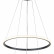 Подвесной светильник Escada Euler 10228/2LED