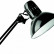 Настольная лампа офисная Arte Lamp Senior A6068LT-1BK