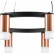Подвесная люстра Lightstar Rullo LR0183081