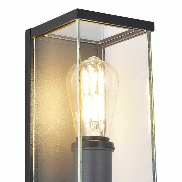 Накладной светильник ST-Luce Gross SL9019.701.01