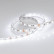 Лента светодиодная Arlight RT 2-5000 12V White6000 2x (5060, 300 LED, LUX) 012339(B)