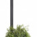 Бра Loft it Jardin 10121W/B