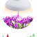Светильник для растений Эра Фито MG-TG-003 7W Natural White Spectrum,with EMC, with