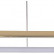 Подвесной светильник Loft it Ring 10016S