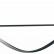 Подвесной светильник Lightstar Rotonda 736447