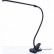 Настольная лампа офисная Arte Lamp Conference A1106LT-1BK