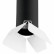 Накладной светильник Lightstar Rullo R487436