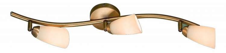 Спот Citilux Белла CL501533