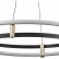 Подвесной светильник Vele Luce Libertas VL7314P24