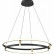 Подвесной светильник Vele Luce Libertas VL7314P24
