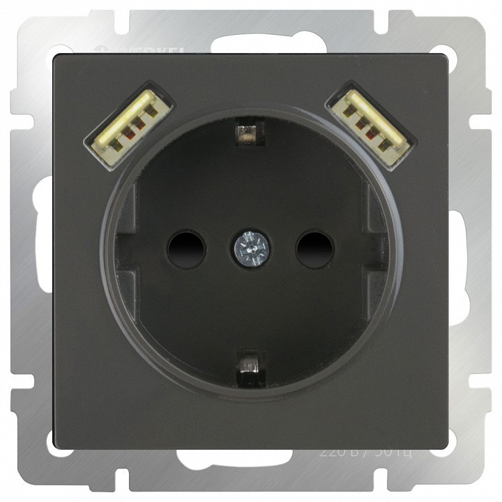 Розетка с заземлением, шторками и 2хUSB, без рамки Werkel Серо-коричневый WL07-SKGS-USBx2-IP20