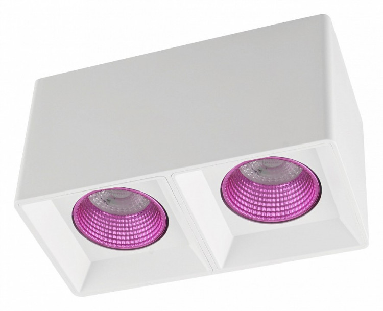 Накладной светильник Denkirs DK3020WPI DK3085-WH+PI
