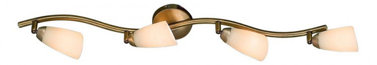 Спот Citilux Белла CL501543