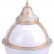 Подвесной светильник Arte Lamp Monaco A1495SO-1WG