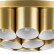 Потолочная люстра Lightstar Siena 720222