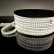 Лента светодиодная Elektrostandard LS013 a041343