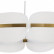 Подвесная люстра ST-Luce Etoile SL1304.203.65