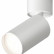 Спот Denkirs DK2029 DK2029-WH