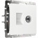 ТВ-розетка и розетка Ethernet RJ-45 без рамки Werkel белые W1181301