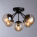 Потолочная люстра Arte Lamp Bolla A1664PL-5BK
