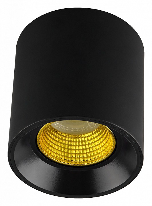 Накладной светильник Denkirs DK3020BYE DK3090-BK+YE