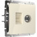 ТВ-розетка и розетка Ethernet RJ-45 без рамки Werkel слоновая кость W1181303