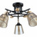 Люстра на штанге Arte Lamp Glassy A5078PL-5BK