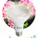 Лампа светодиодная Эра  E27 14Вт 2150K FITO-15W