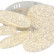 Потолочная люстра Escada Agata 10278/6LED
