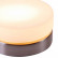 Накладной светильник Globo Opal 48400