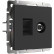 ТВ-розетка и розетка Ethernet RJ-45 без рамки Werkel черный матовый W1181308