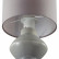Настольная лампа декоративная Lumion Segi 8129/1Т