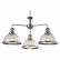 Подвесная люстра Arte Lamp Oglio A9273LM-3CC