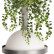 Бра Loft it Jardin 10121W/B Dark grey