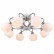 Потолочная люстра Arte Lamp Ellisse A6342PL-8WG