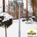 Фонарный столб Fumagalli Beppe P50.362.000.LXH27