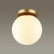 Накладной светильник Odeon Light Bosco 4247/1C