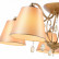 Потолочная люстра EVOLUCE Rimono SL1135.102.05