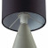 Настольная лампа декоративная Lumion Segi 8132/1Т