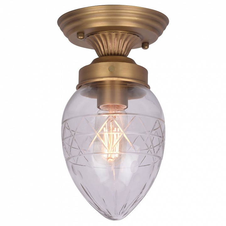 Накладной светильник Arte Lamp  A2304PL-1SG
