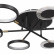 Потолочная люстра Loft it Megan 10164S Black