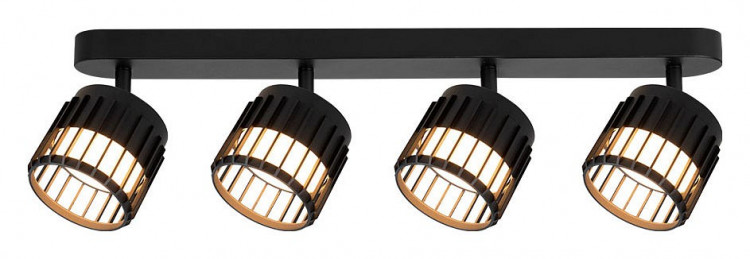 Спот Arte Lamp Atria A8031PL-4BK